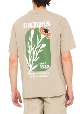 Camiseta Dickies Herndon Bege Para Homem