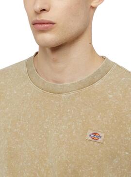 Camiseta Dickies Newington Tee Bege para Homem.