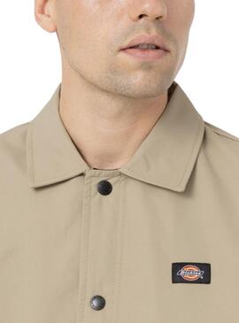 Casaco Dickies Oakport Coach Bege para Homem