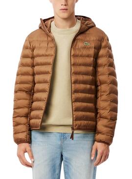 Jaqueta acolchoada Lacoste camel para homem