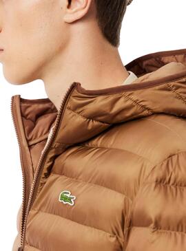 Jaqueta acolchoada Lacoste camel para homem