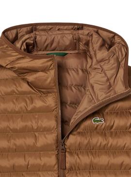 Jaqueta acolchoada Lacoste camel para homem