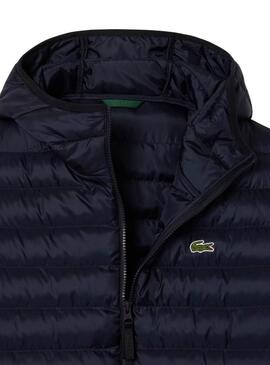 Jaqueta acolchoada azul marinho Lacoste para homem