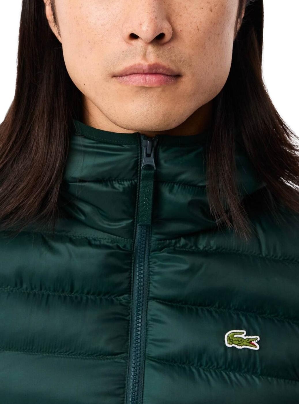 Casaco Acolchoado Lacoste Basic Verde para homem