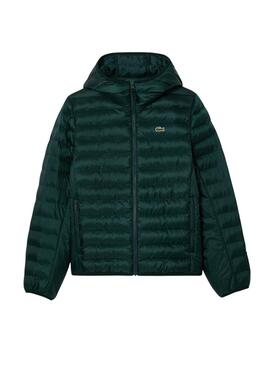 Casaco Acolchoado Lacoste Basic Verde para homem