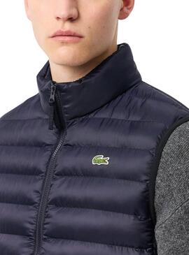 Colete Lacoste Acolchoado Azul Marinho para homens