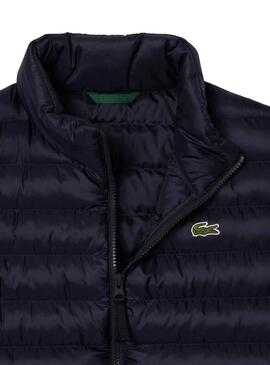 Colete Lacoste Acolchoado Azul Marinho para homens