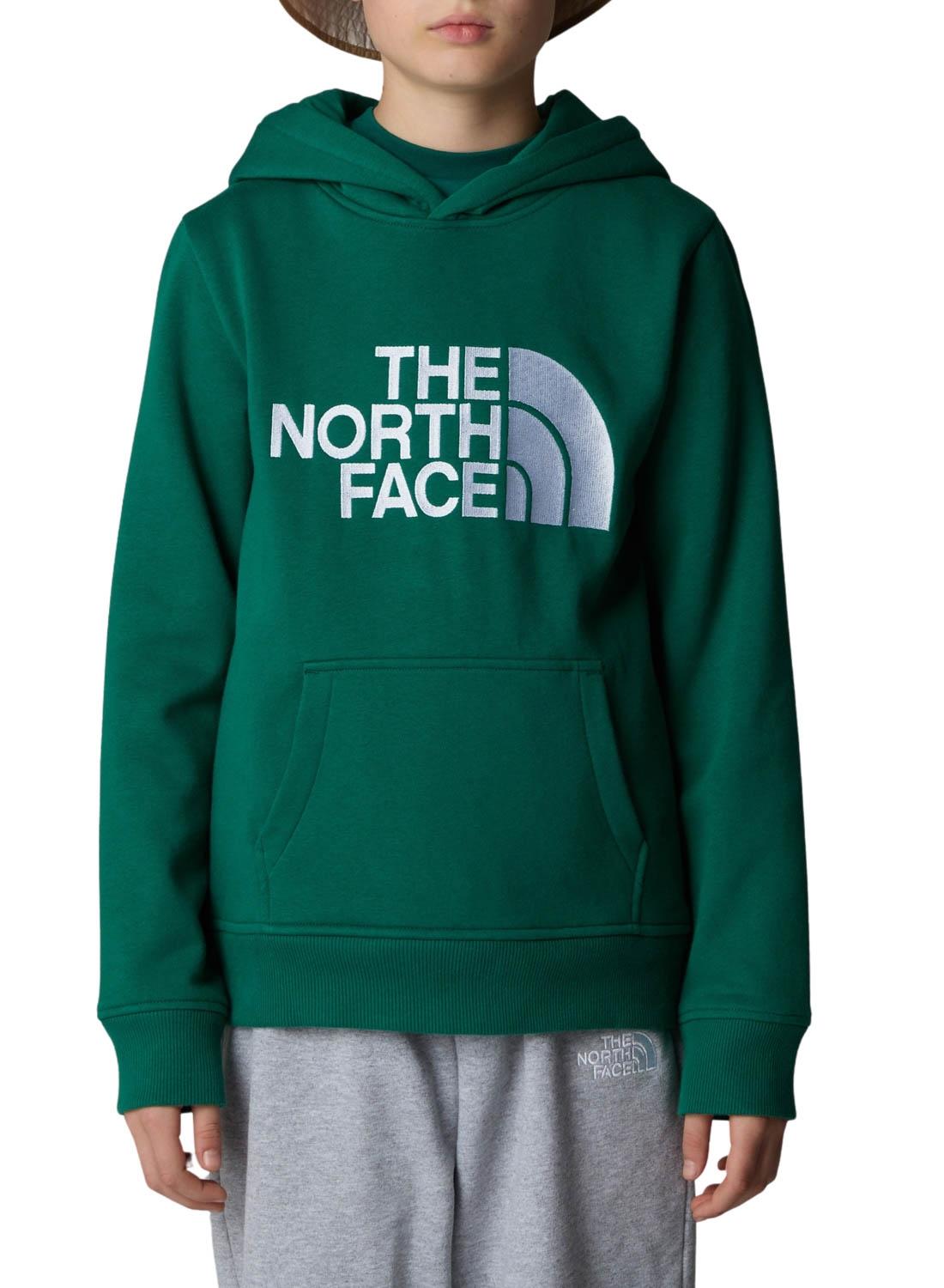 Sweatshirt The North Face Drew Peak Verde Unissex