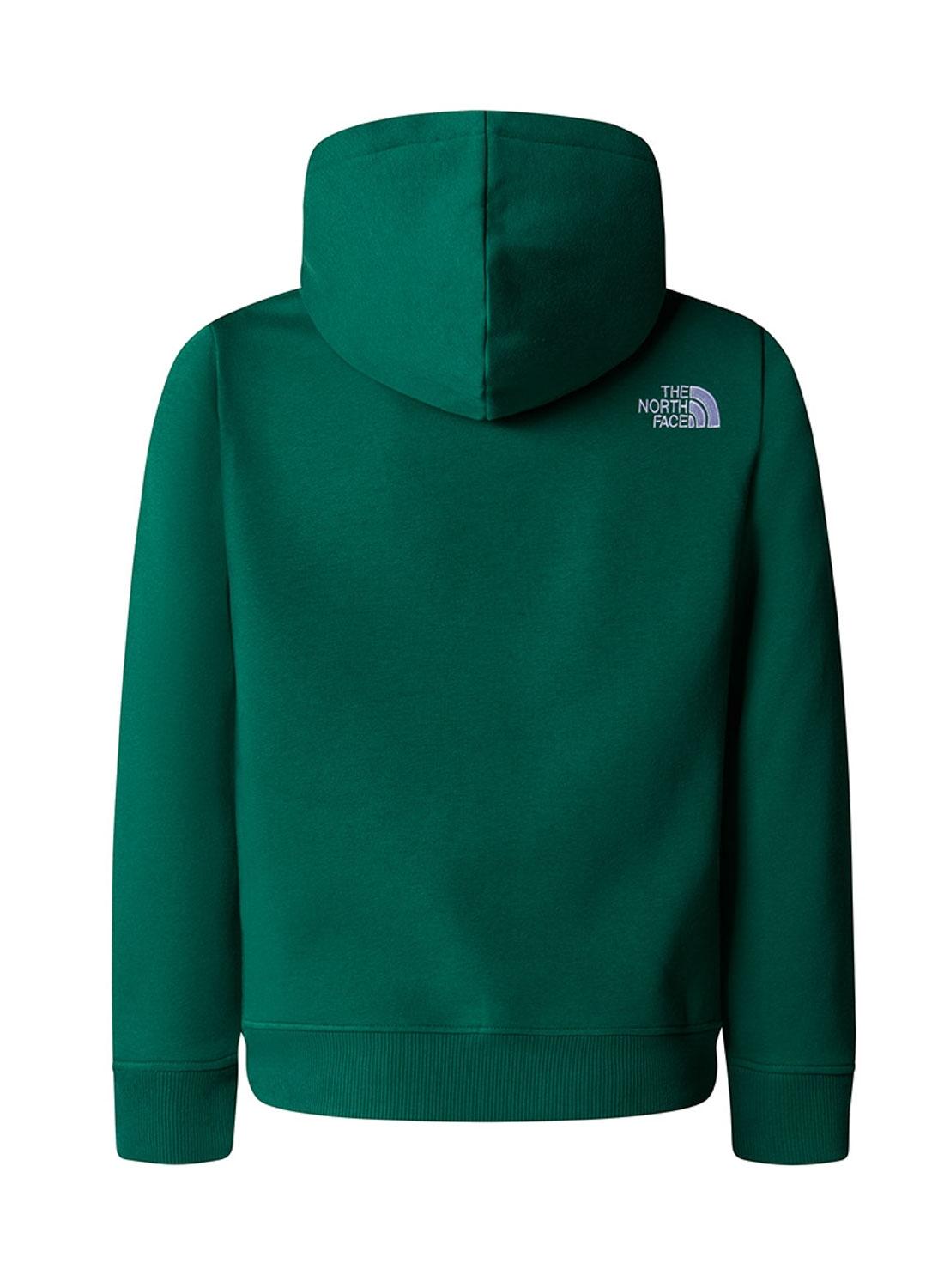 Sweatshirt The North Face Drew Peak Verde Unissex