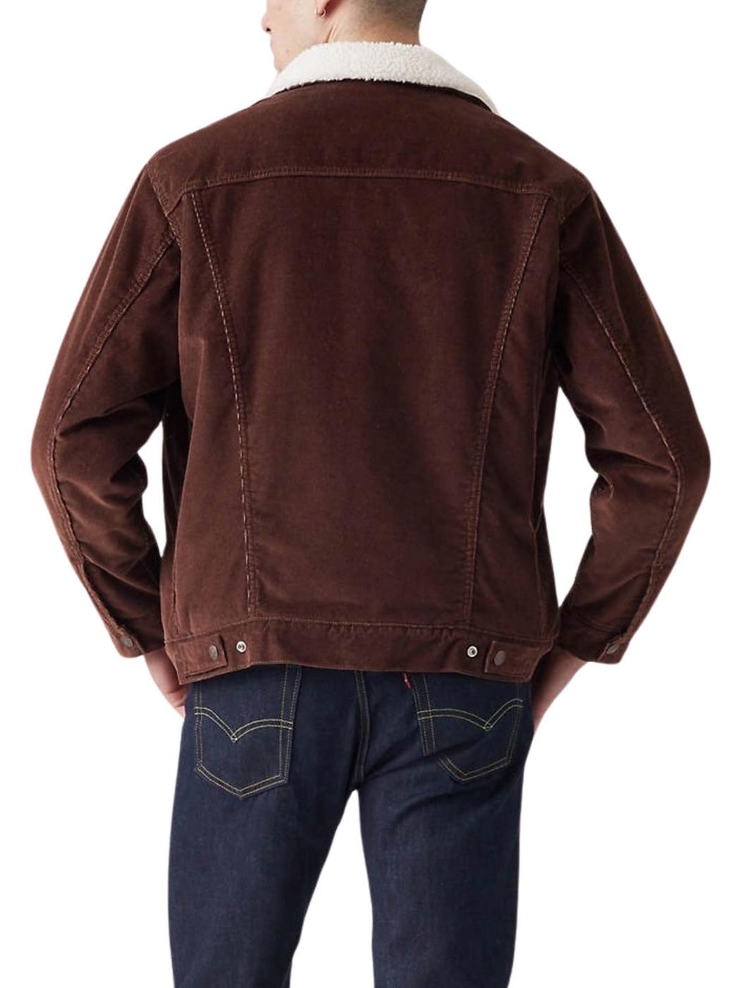 Jaqueta Trucker Levis Sherpa em Veludo Castanho para homem