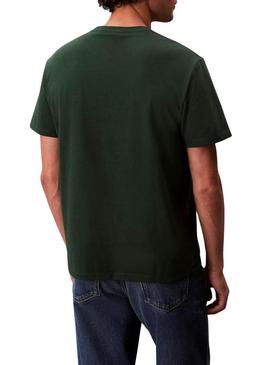 Camiseta Calvin Klein Monologo verde para homem