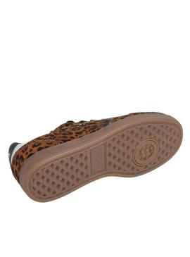 Sapatilhas Pepe Jeans Ball Print leopardo para mulher.