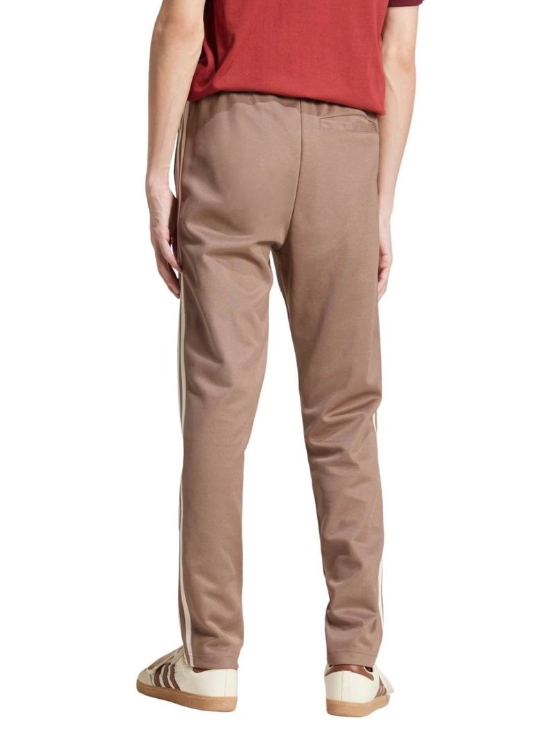 JP2525 CLASSIC TP TRABRN/WONWHI