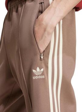 JP2525 CLASSIC TP TRABRN/WONWHI