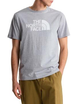 Camiseta The North Face Evo cinza para homem