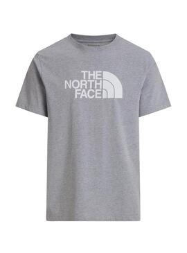 Camiseta The North Face Evo cinza para homem