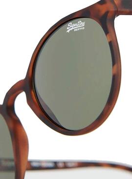 Óculos de sol Superdry Freida Marrom para Mulher